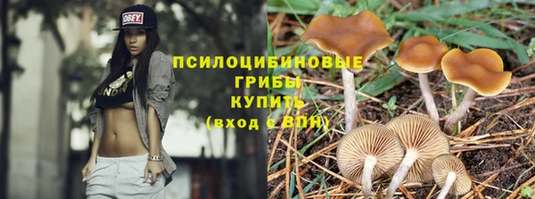 прущий лед Володарск