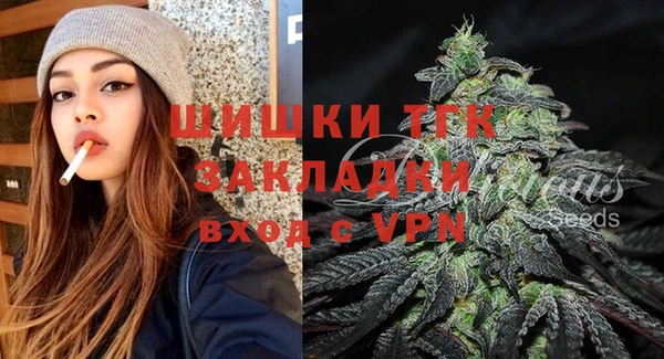 индика Верхний Тагил