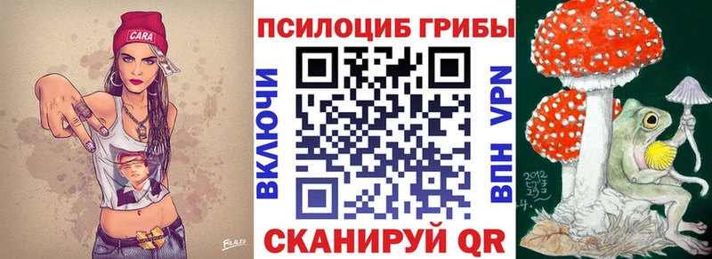 где можно купить   Камень-на-Оби  Псилоцибиновые грибы Cubensis 